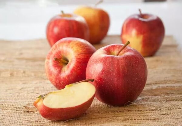 APPLE 1KG