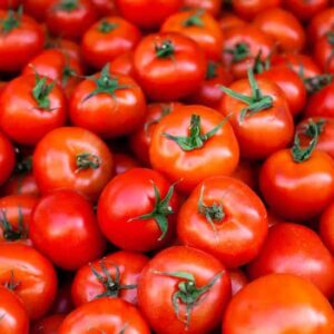 TOMATO