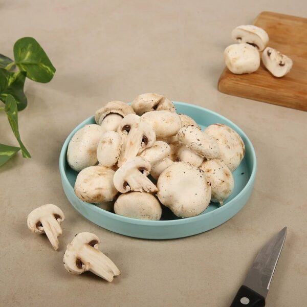 MUSHROOM